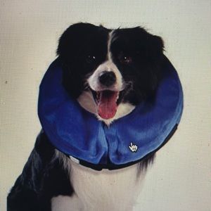 Kong Cloud E-Collar for Cats and Dogs